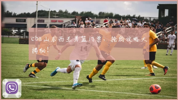 cba山东西王男篮门票,抢购攻略大揭秘!